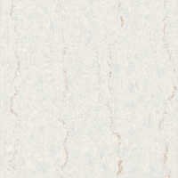 Whites Digital Vitrified Tiles