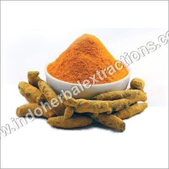 Turmeric Curcumin