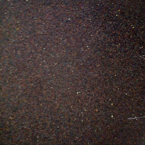 Jojoba Plant Seed