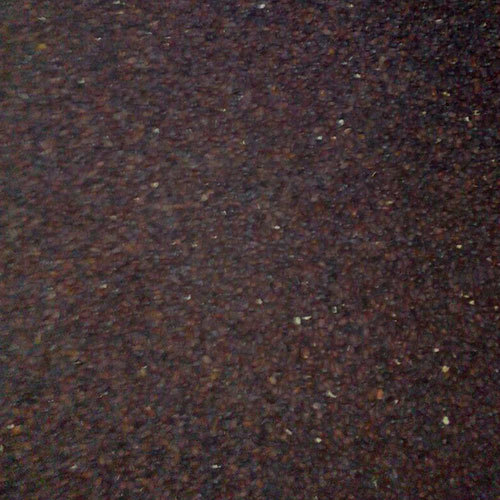 Jojoba Flower Seed