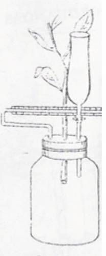 Farmer 's  Potometer