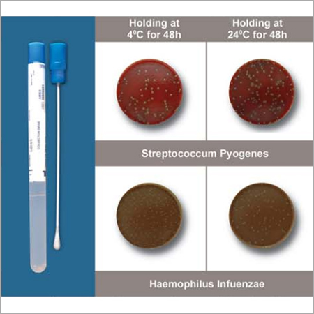Transport Swab with Medium
