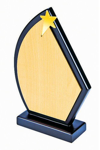 wooden trophy & Awards