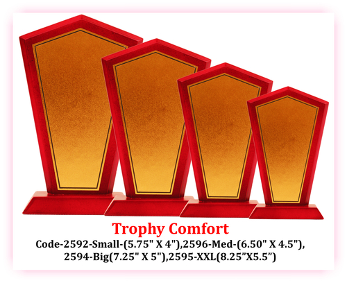 wooden trophy & Awards