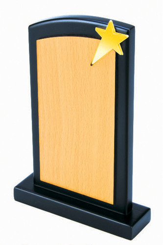 wooden trophy & Awards