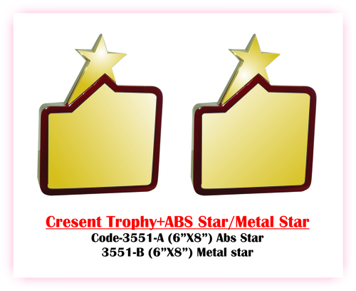 wooden trophy & Awards