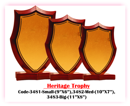 wooden trophy & Awards