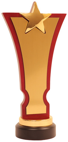 wooden trophy & Awards