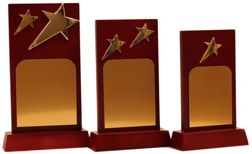 wooden trophy & Awards