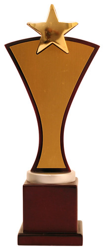 wooden trophy & Awards