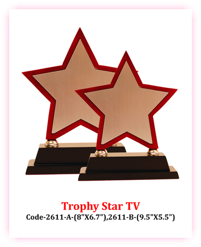 wooden trophy & Awards