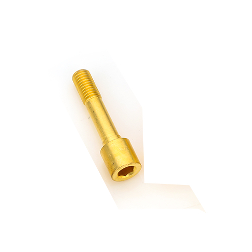 Brass Sealing Screw