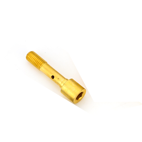 Brass Sealing Screw For Meter