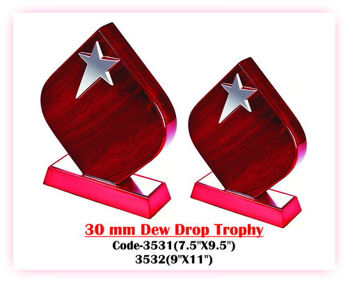 Wooden Premium Trophy & Awards