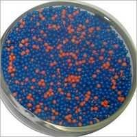 Rabeprazole Sodium Enteric Coated & Levosulpiride