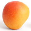 Common Alphonso Mango