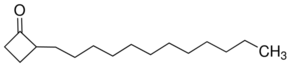 2-Dodecylcyclobutanone