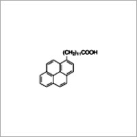 1-Pyrenedodecanoic Acid Application: Biochemistry