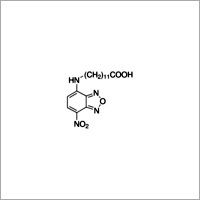 12-(7-Nitrobenzofurazan-4-ylamino)dodecanoic acid