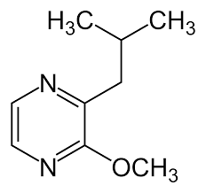 2-Isobutyl-3-methoxypyrazine solution