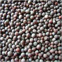 Mustard Seeds