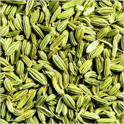 Fennel Seed