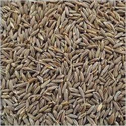 Cumin Seed