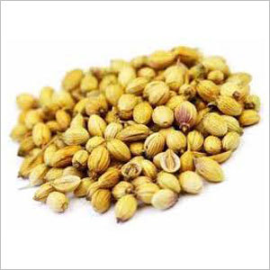 Coriander Seed