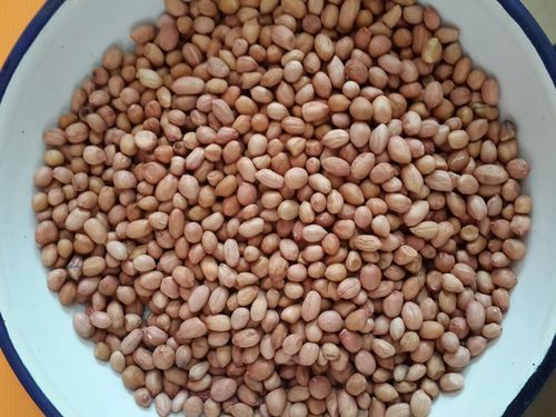 Peanuts Exporter