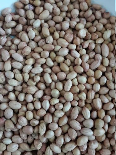 Indian Peanuts Exporter