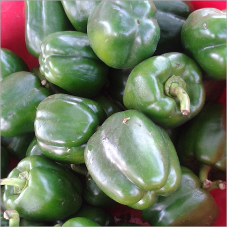 Green Capsicum