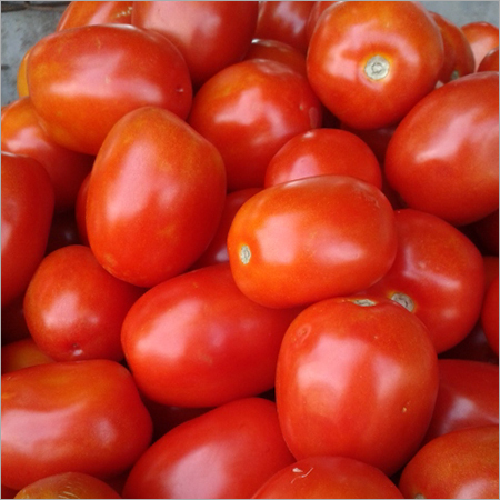 Red Tomato