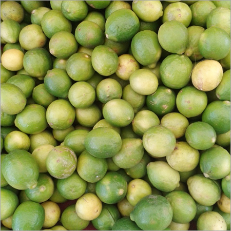 Green Lemon - Common Cultivation Type | Fresh Vibrant Citrus Flavor Ideal for Culinary Use