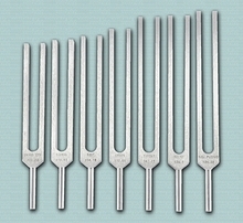 Tuning Forks By LAFCO INDIA SCIENTIFIC INDUSTRIES