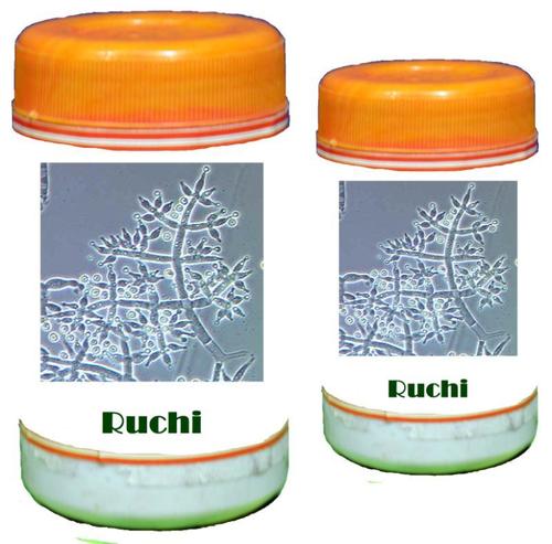 Bio Fungicide