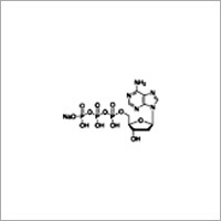 2-Deoxyadenosine 5-triphosphate sodium salt solution