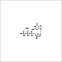 2-Deoxyguanosine 5-triphosphate trisodium salt solution