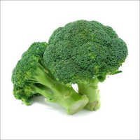 Broccoli Seeds