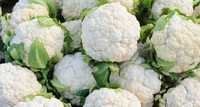Cauliflower Seeds