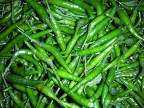 Chilli Beldanga Showing Seeds Chilli Beldanga Showing Seeds