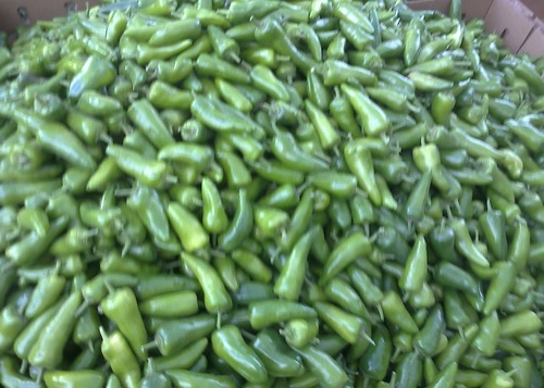Chilli Bullet Chilli Bullet