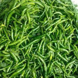 Chilli Slim Seeds Chilli Slim Seeds