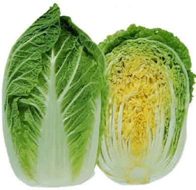 Chinese Cabbage Showing Seeds Chinese Cabbage Showing Seeds