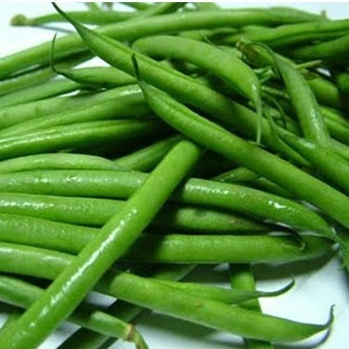 French Bean Seeds French Bean Seeds