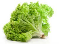 Lettuce Seeds - Organic Vegetable Seeds, 10 Grams | Easy And Fast Growth, Nutritional Balance, Free From Plant Diseases