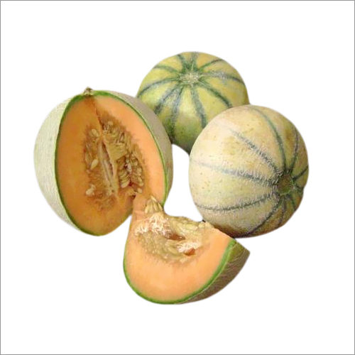 Muskmelon Seeds Muskmelon Seeds