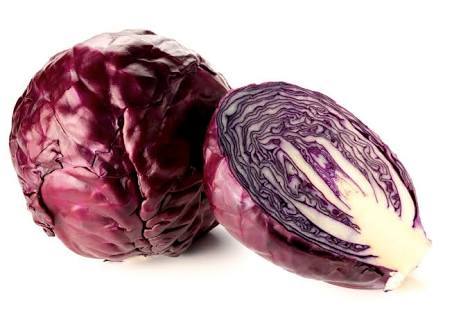 Red Cabbage Showing Seeds Red Cabbage Showing Seeds