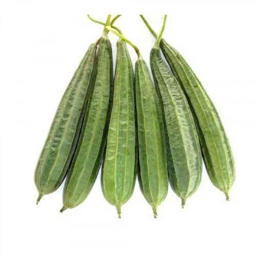 Ridgegourd Showing Seeds Ridgegourd Showing Seeds