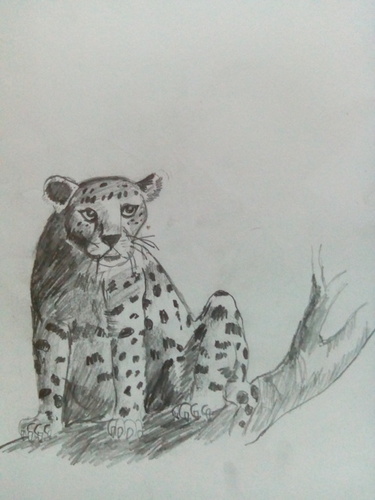 Animal Painting