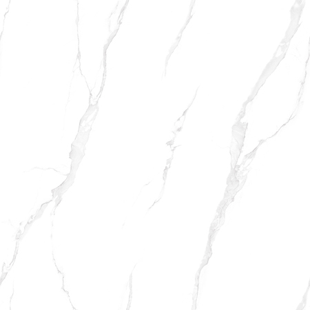 Whites Porcelanato Tiles